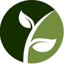 Ivy Pruning Service Pros